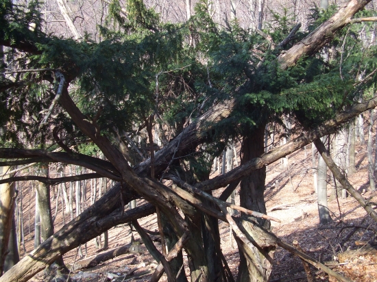 ...malá kalamita...