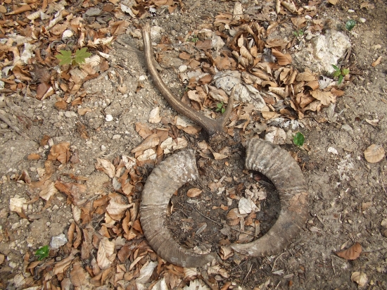 ...aj  toto potešilo...