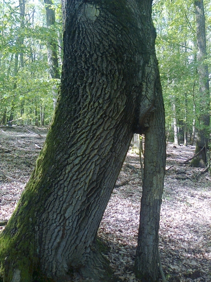 ...skoro ako popoluškina črievička... :)
