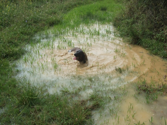 Kara Jazviny v lázňach :)