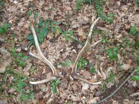 po dlhej dobe, konečne pár!!!