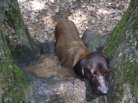 ...ochladzovanie... :)