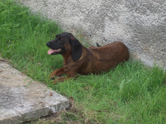 relax na haciende :)