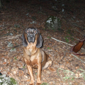 Kara Jazviny na love!!!