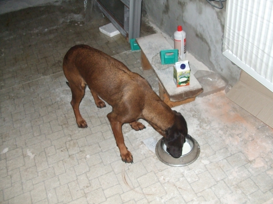 naša pacientka, na diétke...konečne už je lepšie...