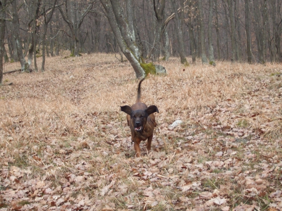 ...stále v pohybe... :)