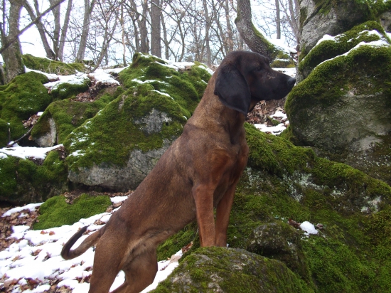 Kara Jazviny na výhliadke :)