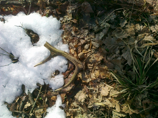 Aj keď len polovične, ale sezóna hľadania zhodov zahájená :)