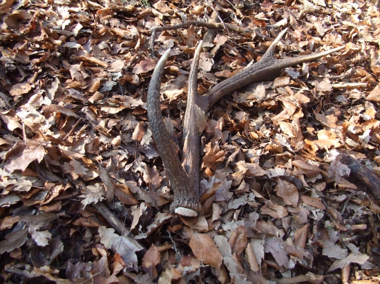 ...aj ďalší deň bol úspešný...