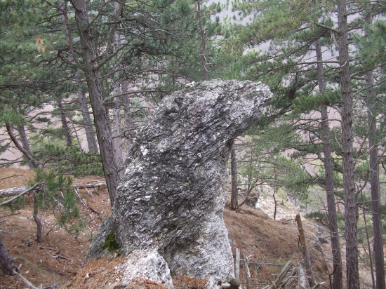 Medveďku, daj labku :)