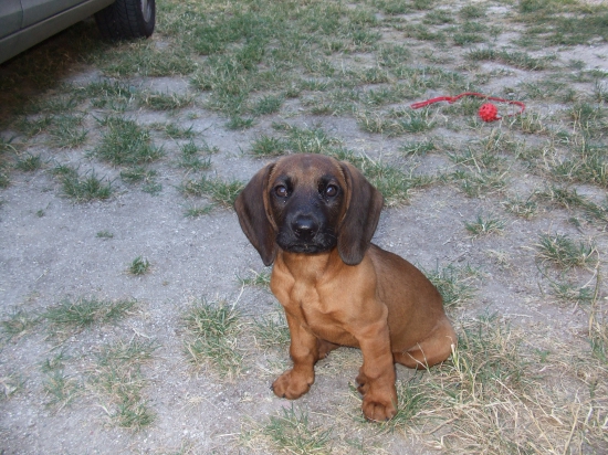 Flora z Vlarskeho Priesmyku - pózovanie :)