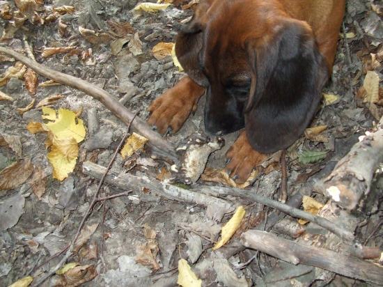 Florin prvý úspech :)