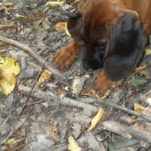 Florin prvý úspech :)