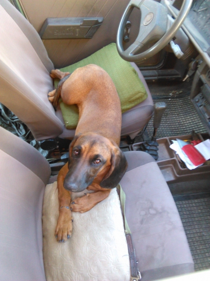 máme 5 mesiacov a baví nás šoférovanie :) Flora z Vlárskeho priesmyku