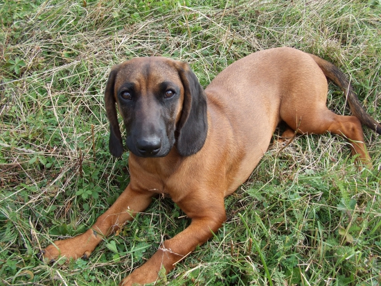 Flora z Vlárskeho priesmyku - relax v prírode :)