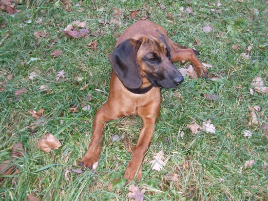 už máme 7.mesiacov!!! :)