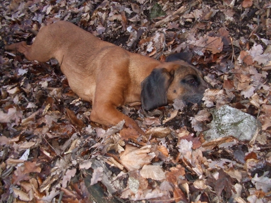 hráme sa na schovávačku :)