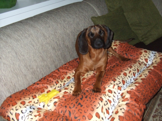 Predčasný vianočný darček pre väčšiu pohodu :)