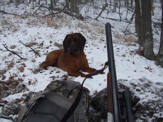 Na potulkách lesom :)