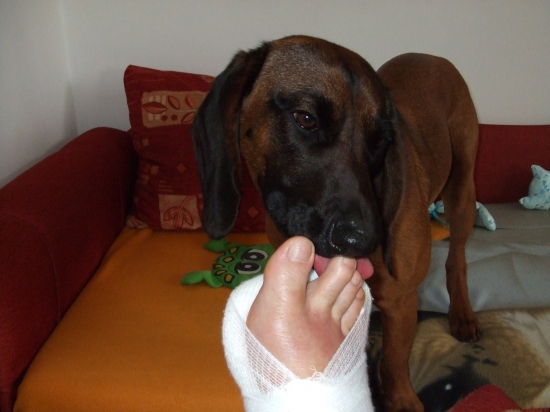 Žiadne chodenie do prírody - momentálne len RELAX a liečba :)