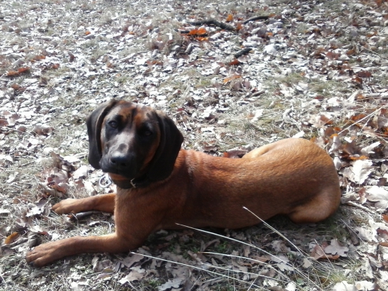 Po dlhšej dobe opať trošku v prírode :)