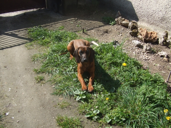 Flora z Vlarskeho priesmyku si užíva slnečné lúče :)