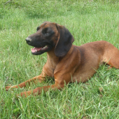 už sme oslávili 1 rok