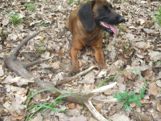 konečne sa aj na nás usmialo šťastie