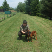 Klubová výstava - Sielnica 5.6.16 - Flora z Vlárskeho priesmyku