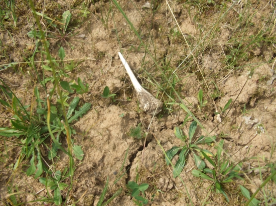 Aj takýto poteší :)