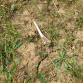 Aj takýto poteší :)