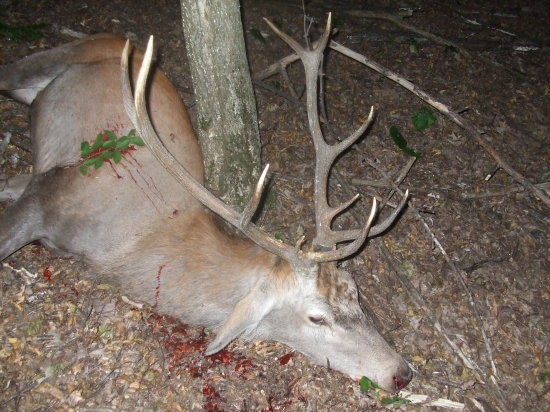 Diana aj mne dopriala