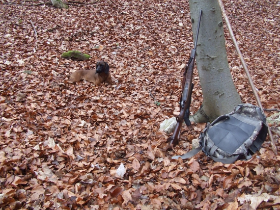Po dvoch týždňoch znovu na pochôdzke