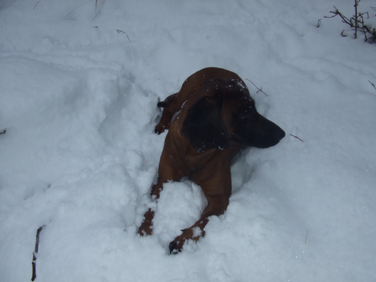 Vychádzka spojená s prikrmovaním!