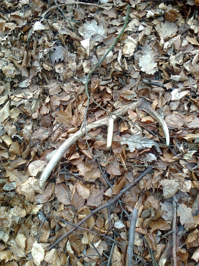 Minuloročný, ale poteší!!!