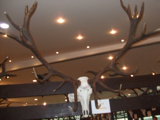 chovateľska prehliadka okr.Prievidza - Kanianka