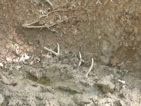 Niekto si tu niečo zabudol :)