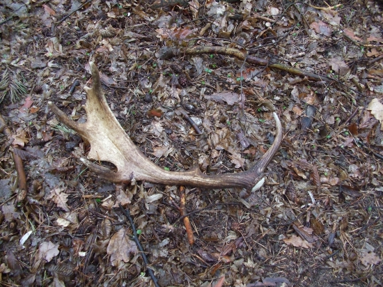 tak už aj lopatár do zbierky!