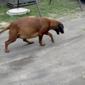 Posledné chvíle do veľkého dňa