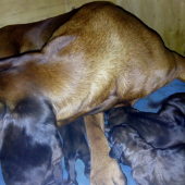 A už sme na svete :)