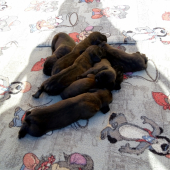 Každým dňom väčšie a silnejšie :)