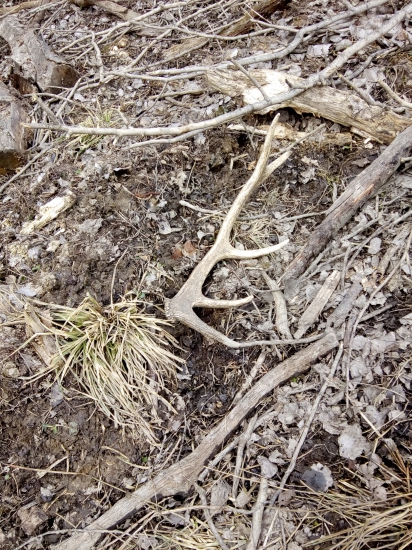 Spokojný aj s takýmto