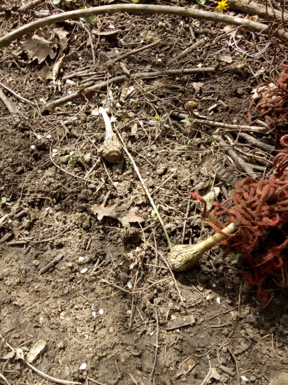 Malá pomotaná pára