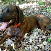 Oddych po dlhom behu