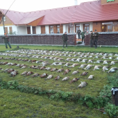 Polovačka na drobnú.