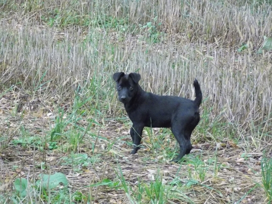 Rastieme do krasy :)