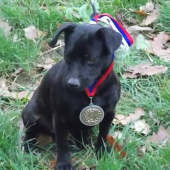 FSMP (aj medajla sa nam usla :)
