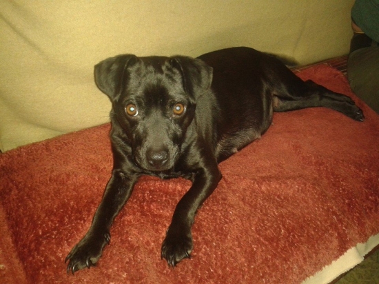 Oddychujeme (47 Den )