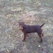 Aron 6 mesiacov