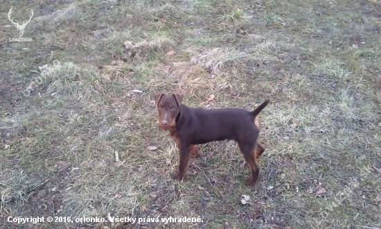 Aron 6 mesiacov